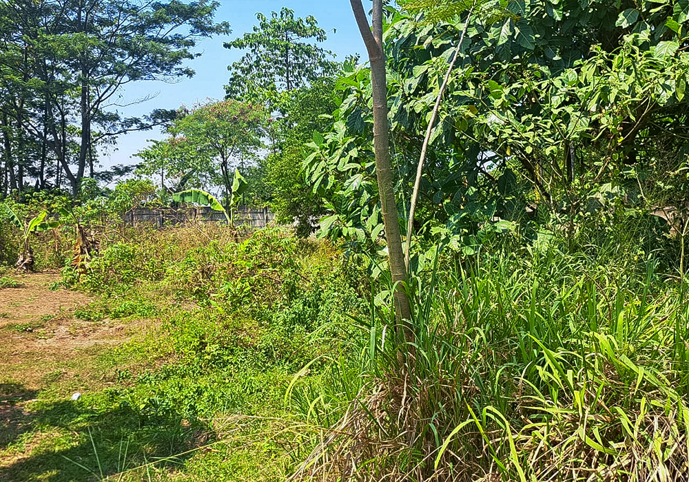 TANAH DI KOTA BOGOR - NPL214-6 - foto 4